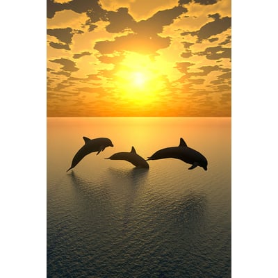 Tableau décoratif dauphins HEXOA