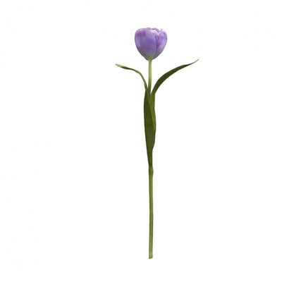 Tige de tulipe artificielle H37 SIA DECO