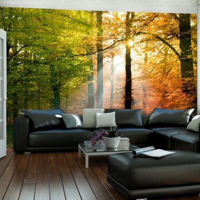 Papier peint intissé panoramique Paysage Bel automne EDEN