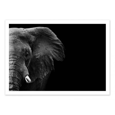 Affiche d’art 50 x 70 cm - Elephant face - 1x WALL EDITIONS