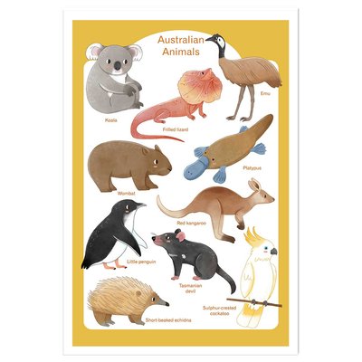 Affiche enfant animaux d' australie HEXOA