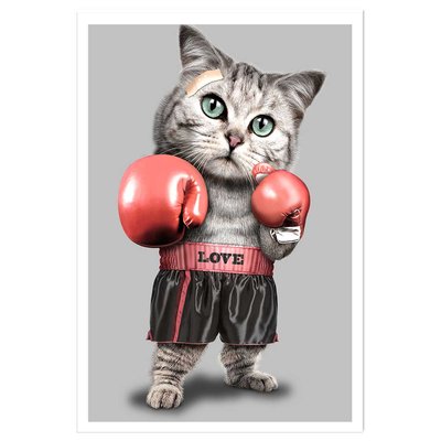 Affiche enfant chat boxeur HEXOA