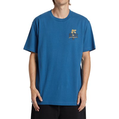 T-shirt à manches courtes GROWING PAINS. DC SHOES