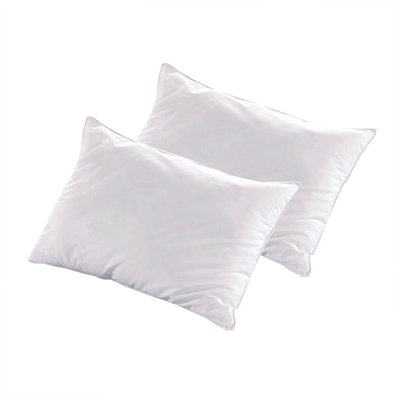 Lot de 2 oreillers Fibres creuses polyester ALASKA BELLECOUR