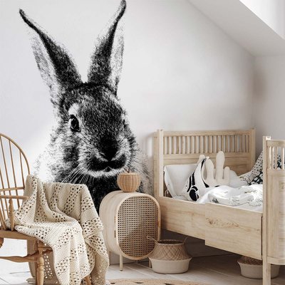 Papier peint lapin géant HEXOA