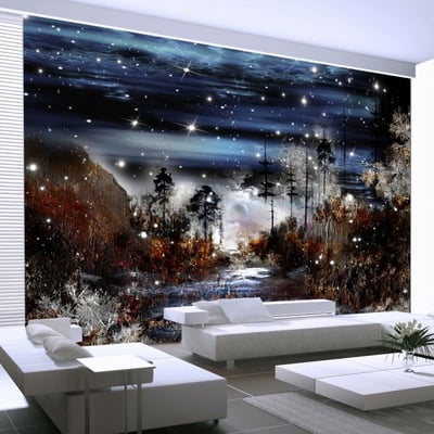 Papier peint intissé panoramique Fantaisie Nuit dans la foret EDEN