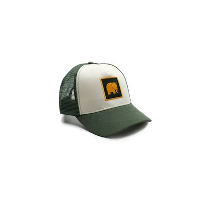 Casquette ajustable CLASSIC TRUCKER TRENDSPLANT