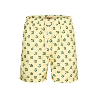 SHORT DE BAIN FROGGY PULLIN