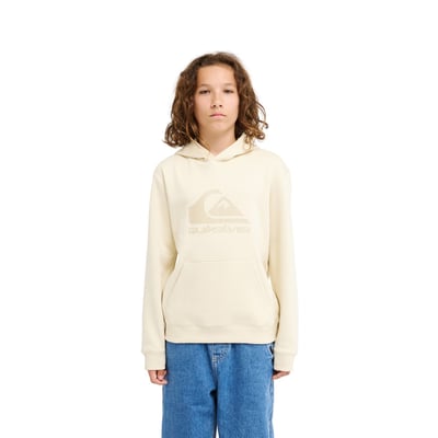 Sweat à capuche, avec motif devant, en molleton QUIKSILVER