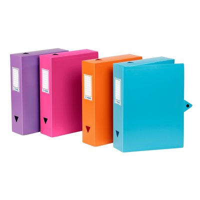 Lot de 6 boites de classement en plastique fermeture bouton pression ESSENTIEL VIQUEL