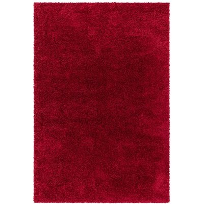 Tapis salon et chambre shaggy RICHY NOVATREND