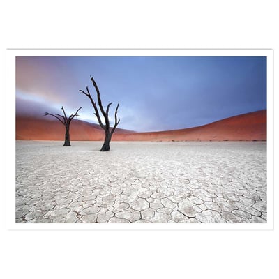 Affiche de Namibie, Le deadvlei HEXOA