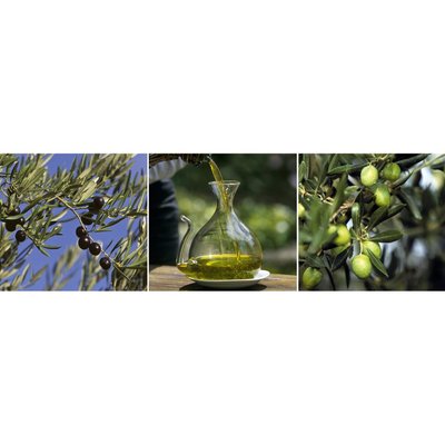 Tableau Sur Toile Olives CUISINE CEANOTHE