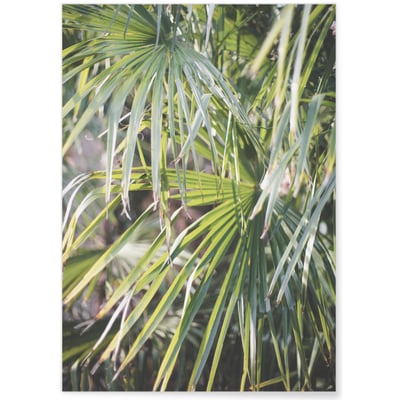 Poster Palm Tree Leaf 2 L'AFFICHERIE
