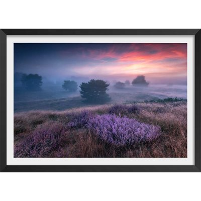 Poster couleur chaude et lavandin HEXOA