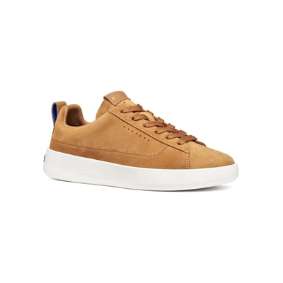 Baskets  D GXCP-01 GEOX