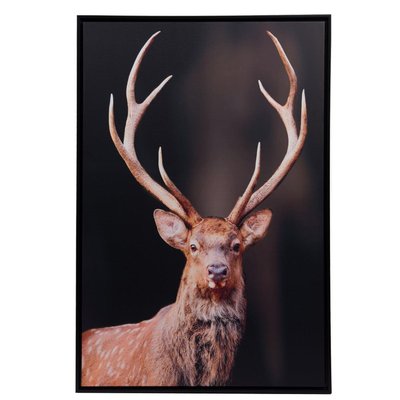 Toile Cerf encadrement en bois 80x120 cm AMADEUS