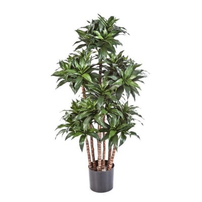 Dracaena Fragrans artificiel H 120 cm ARTIFICIELLES