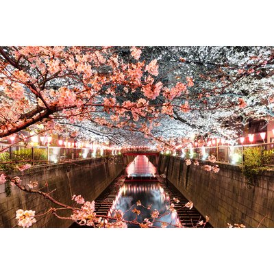 Tableau cerisiers et hanami à Tokyo HEXOA