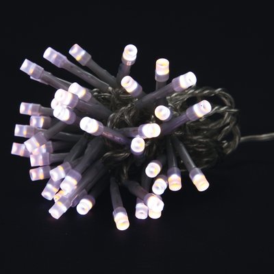 Guirlande bicolore 40 Led DOUCEUR D'INTÉRIEUR