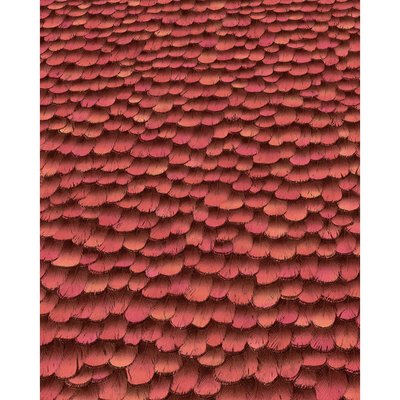 Papel de parede PARADISIO II, Vermelho, da Interelife INTERELIFE