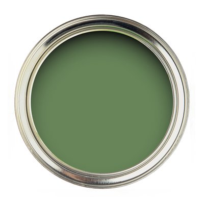 Water Based Eggshell Paint Botanical Green SANDERSON