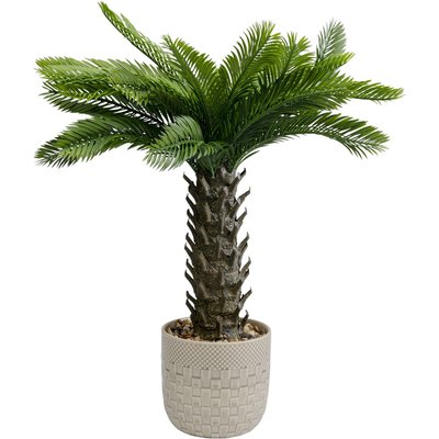 Plante décorative Cycas 70cm KARE DESIGN