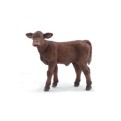 Veau Salers PAPO