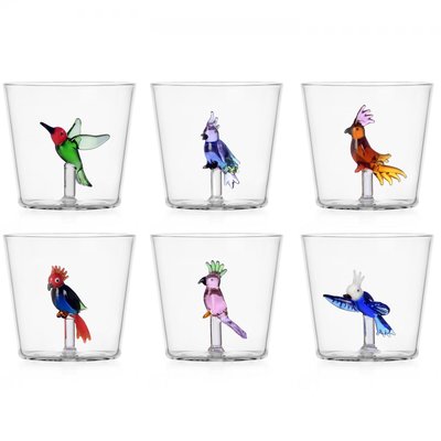Lot de 6 verres Talking Tree ICHENDORF
