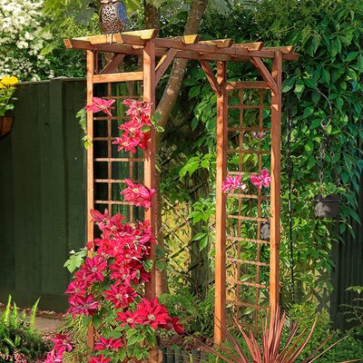 Arche de jardin Jasmin droite CEMONJARDIN
