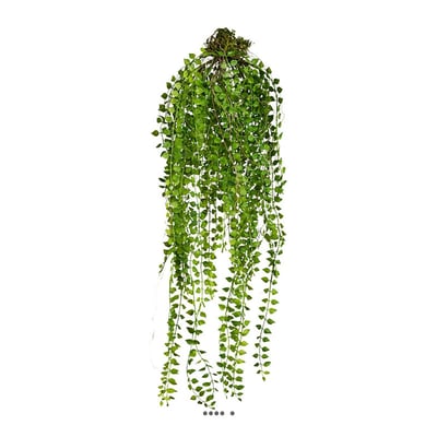 Chute de columnea artificiel L 70 cm ARTIFICIELLES