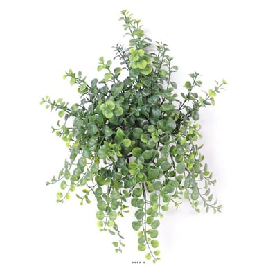 Peperonia artificiel en chute H 40 cm petites ARTIFICIELLES
