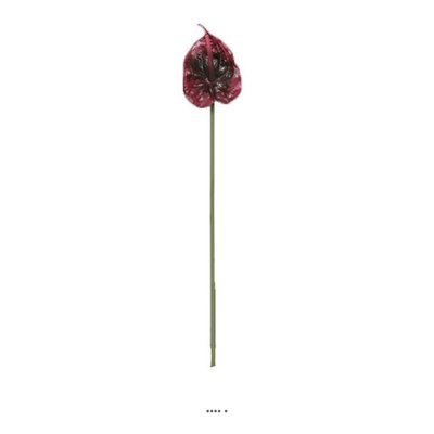 Tige Anthurium artificiel L 66 cm Aubergine ARTIFICIELLES