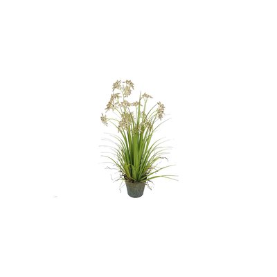 Allium de Naples artificiel fleurs pot zinc NOW'S HOME