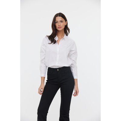 Chemise coton regular DAPA LEE COOPER