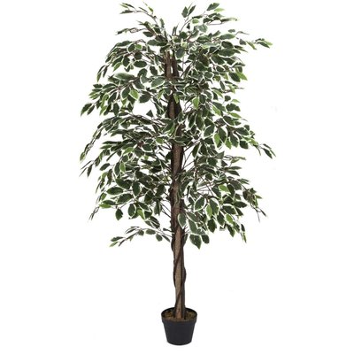 Plante artificielle feuillage panaché 160 cm CMP
