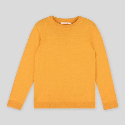 Pull garcon MONOPRIX KIDS La Redoute