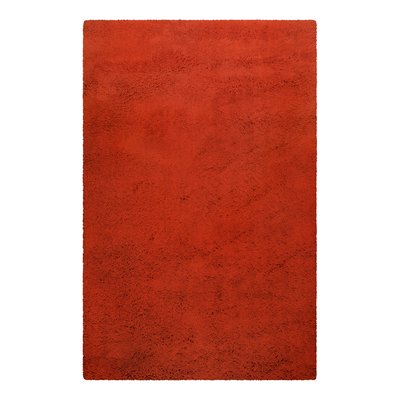 Tapis épais pure laine vierge tufté dense ,  ROSSI HOMIE LIVING