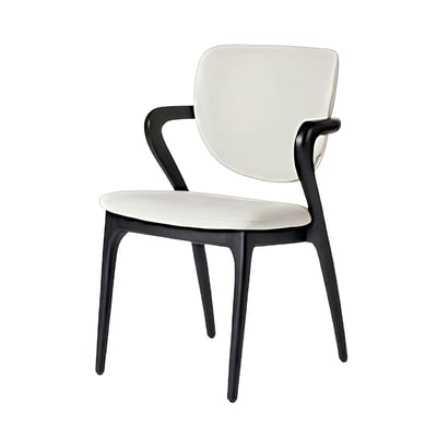 Chaise en cuir avec accoudoirs ALDER PIER IMPORT
