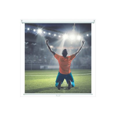 ORAY Ecran de projection Cineflex manuel 150x200