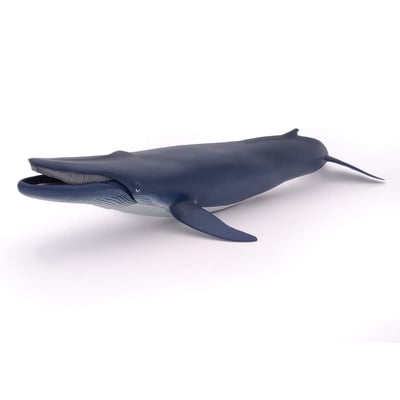 Baleine bleue PAPO