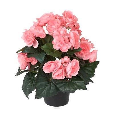 Begonia artificiel Rose jaune en pot H 28 cm ARTIFICIELLES