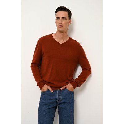 Pull Col V  Écureuil Walt JUST CASHMERE