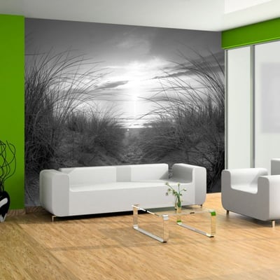 Papier peint intissé panoramique Paysage plage (noir et blanc) EDEN
