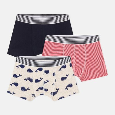 Pack of 3 Hipsters in Cotton PETIT BATEAU