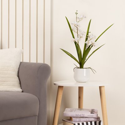 51cm Artificial White Mini Cymbidium Orchid in Pot SO'HOME