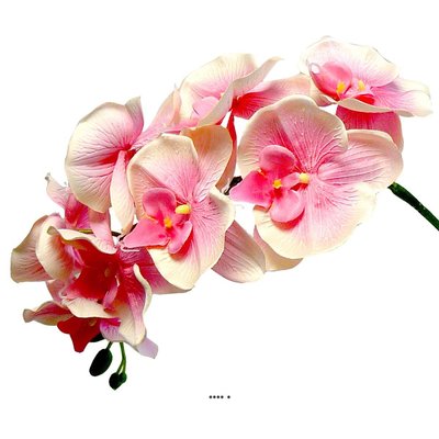 Orchidee Tao factice H105cm 8 fleurons 5 bout ARTIFICIELLES