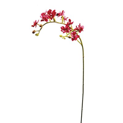 Tige d'orchidée artificielle H57 SIA DECO