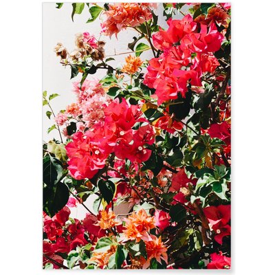 Poster Fleurs L'AFFICHERIE