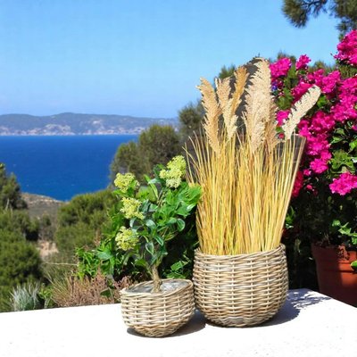 Cache-pot en rotin, forme boule (lot de 2) PIER IMPORT